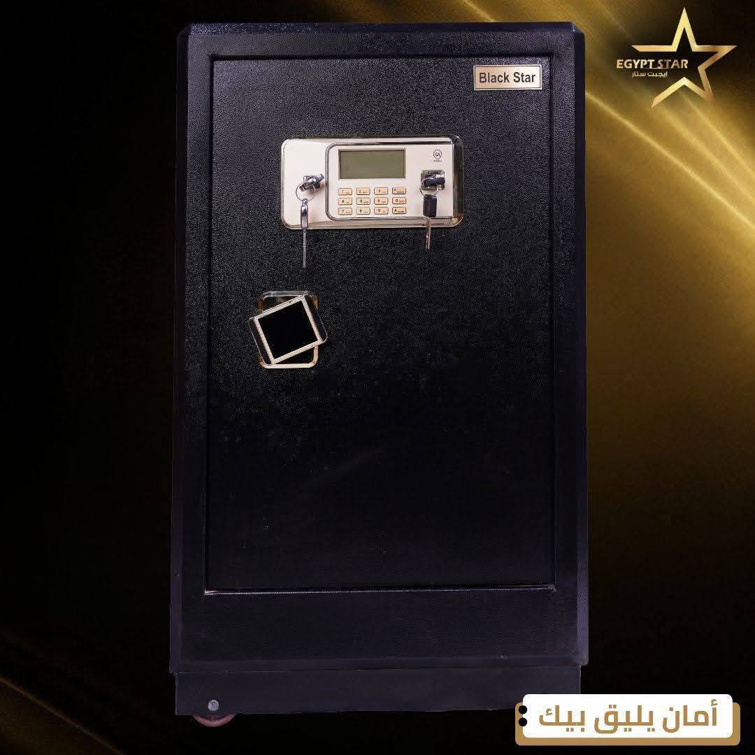 ايجيبت ستار للخزن والمكن النقدي