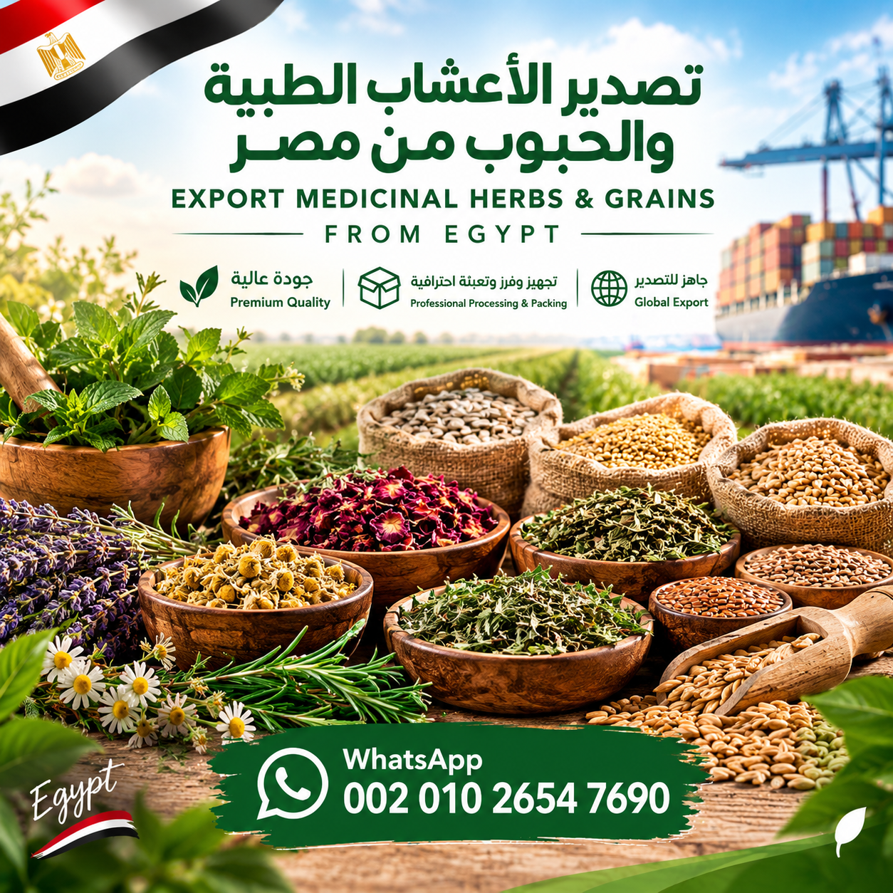 أعشاب طبية وحبوب مصرية للتصدير export herbs , seeds