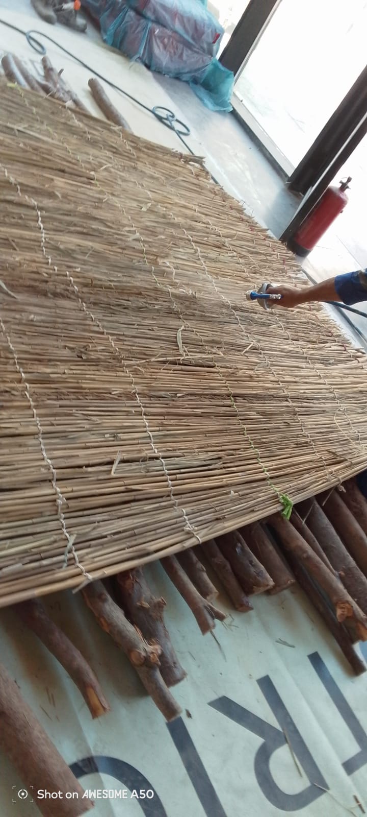 شركة اليكس فاير معالجة ضد الحريق